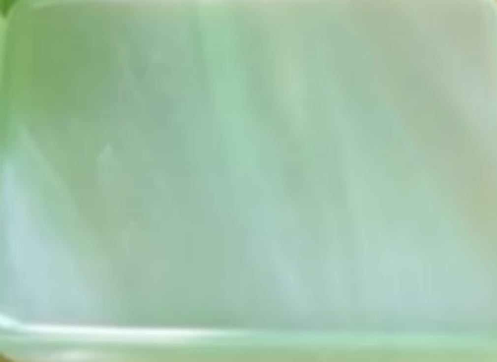 A close-up of a light green translucent plastic surface, likely a container or tray, with soft gradients and a slightly blurred texture.